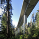 Image for article titled How We'll Live in a Future Where Cities Have Become Forests
